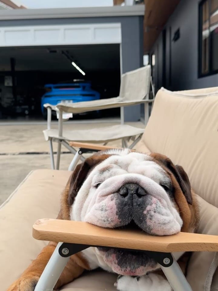 Post 5 by Fatty Goofy DannyBoy Logan on Instagram (carousel)