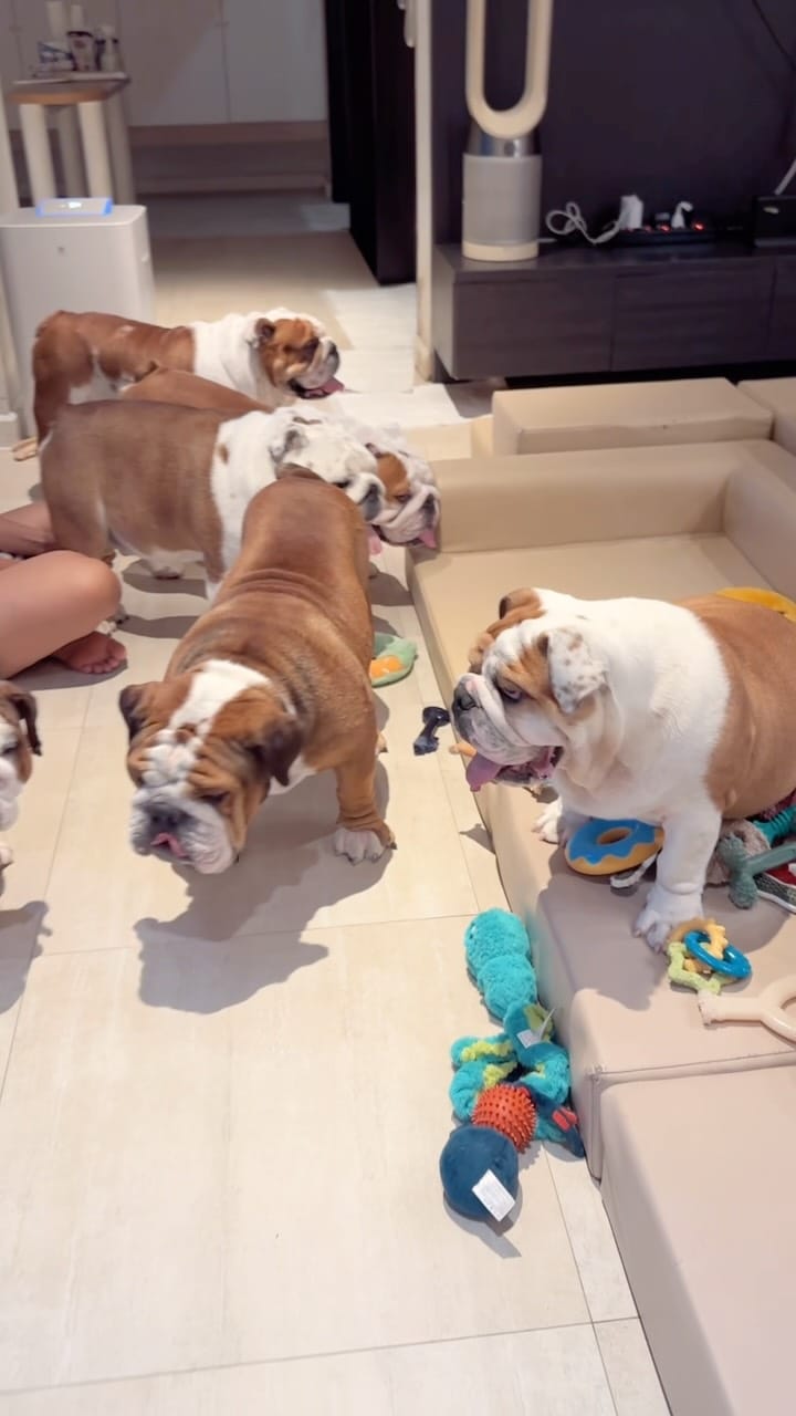Post 2 by Fatty Goofy DannyBoy Logan on Instagram (video)