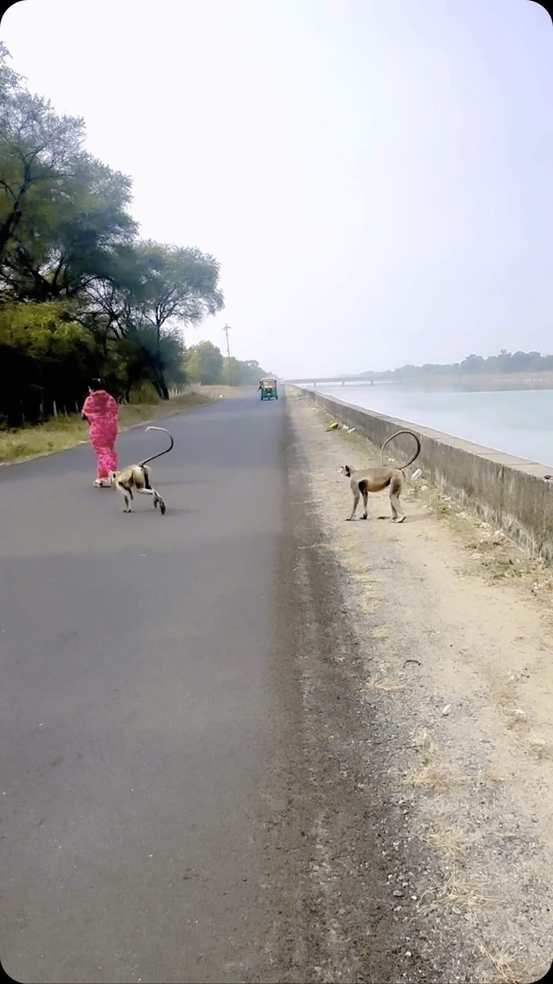 Post 9 by Nikitabaa Rathod on Instagram (video)