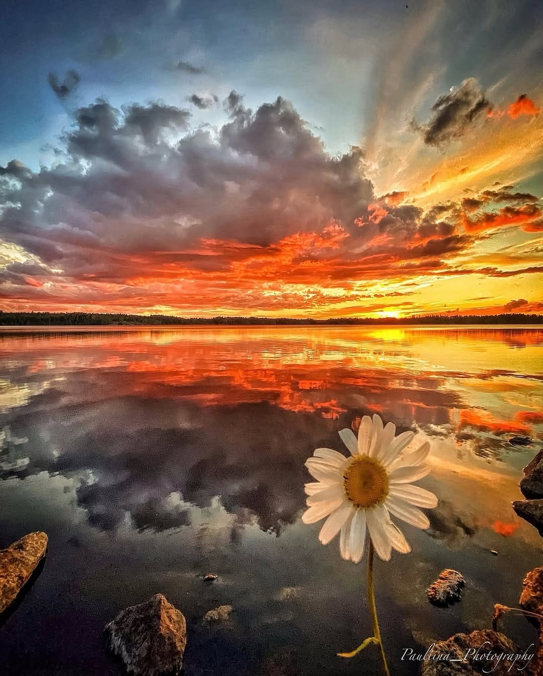Post 6 by Pauliina Sillanpää | Nature Photographer on Instagram (image)