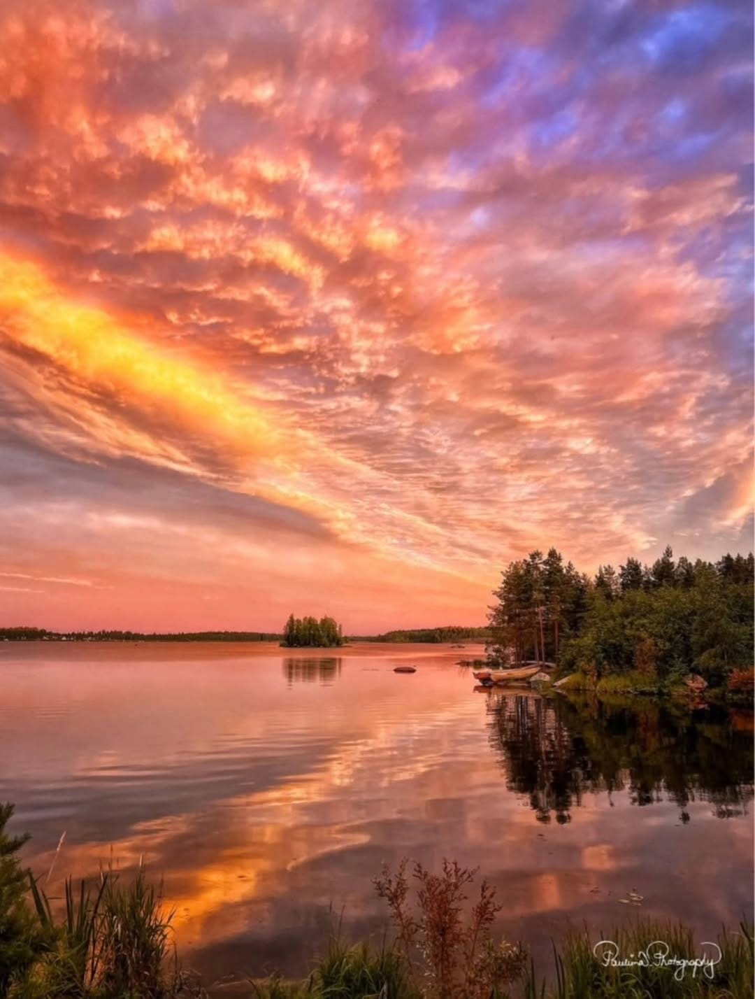 Post 3 by Pauliina Sillanpää | Nature Photographer on Instagram (image)