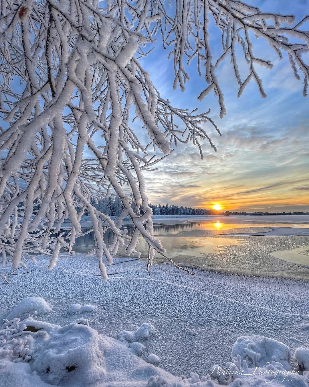 Post 9 by Pauliina Sillanpää | Nature Photographer on Instagram (image)