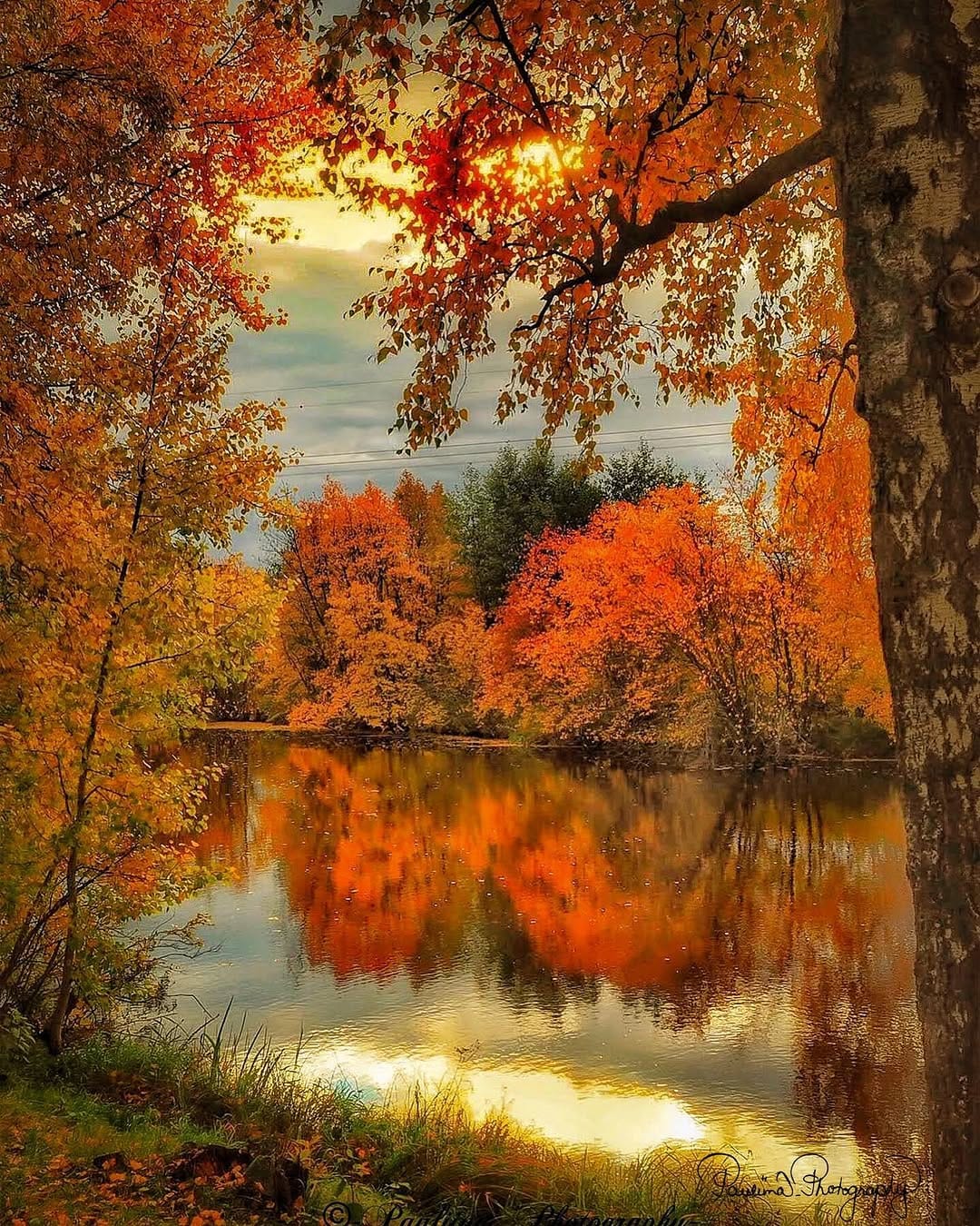 Post 10 by Pauliina Sillanpää | Nature Photographer on Instagram (image)