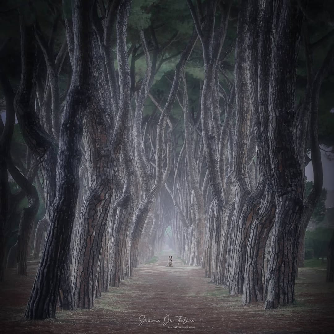 Post 8 by Simone Di Felice on Instagram (carousel)