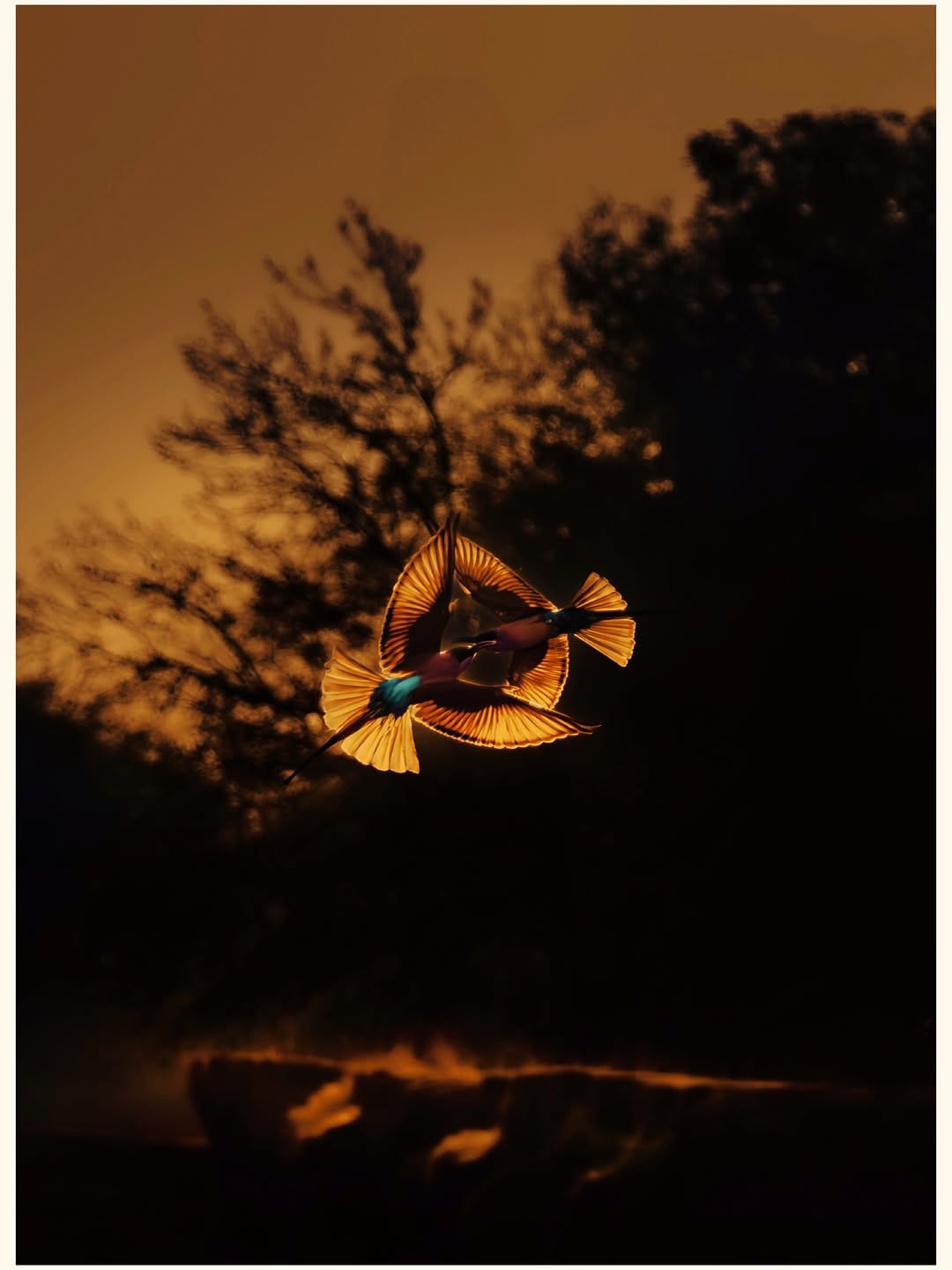 Post 6 by Solly Levi on Instagram (carousel)