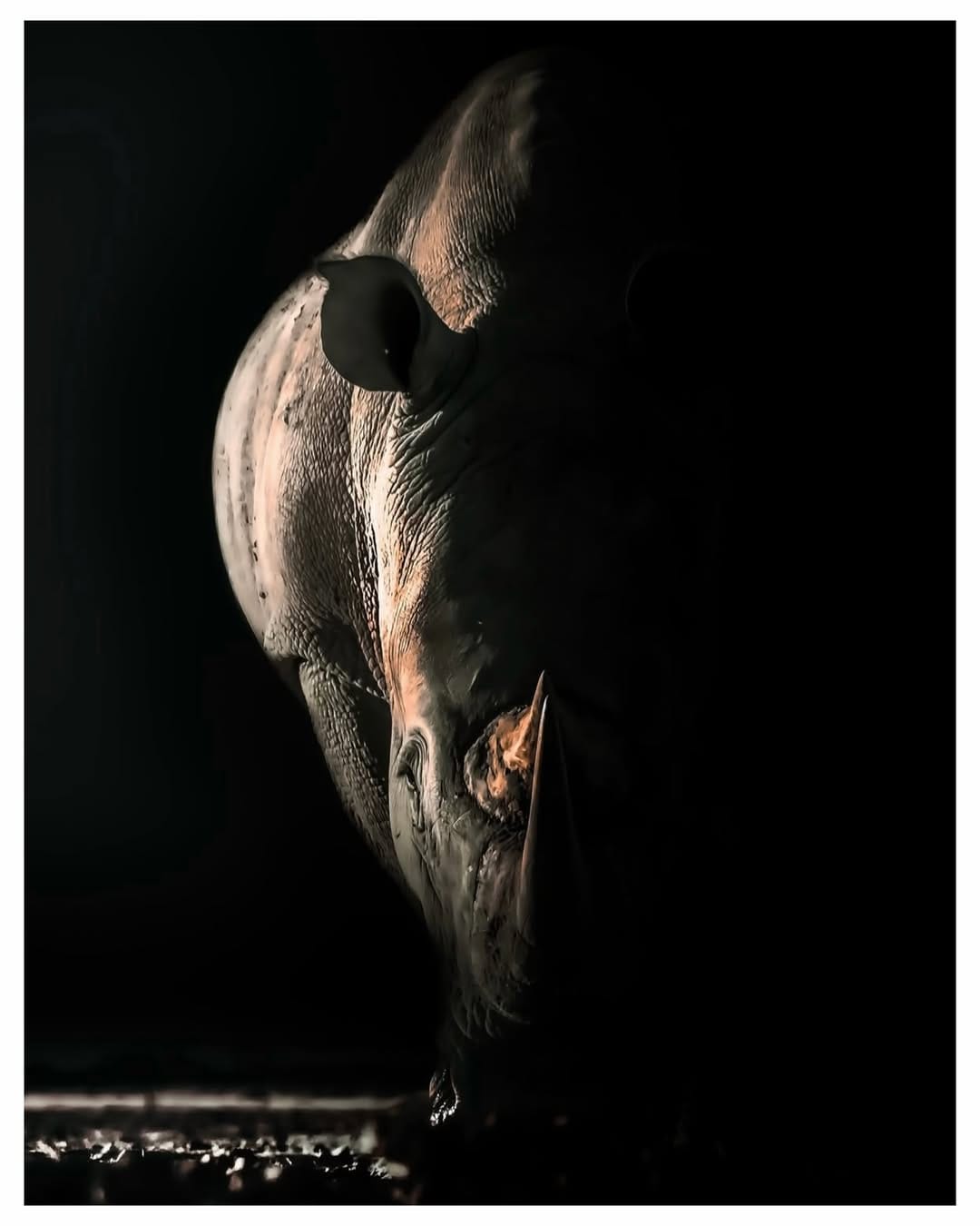 Post 7 by Solly Levi on Instagram (carousel)