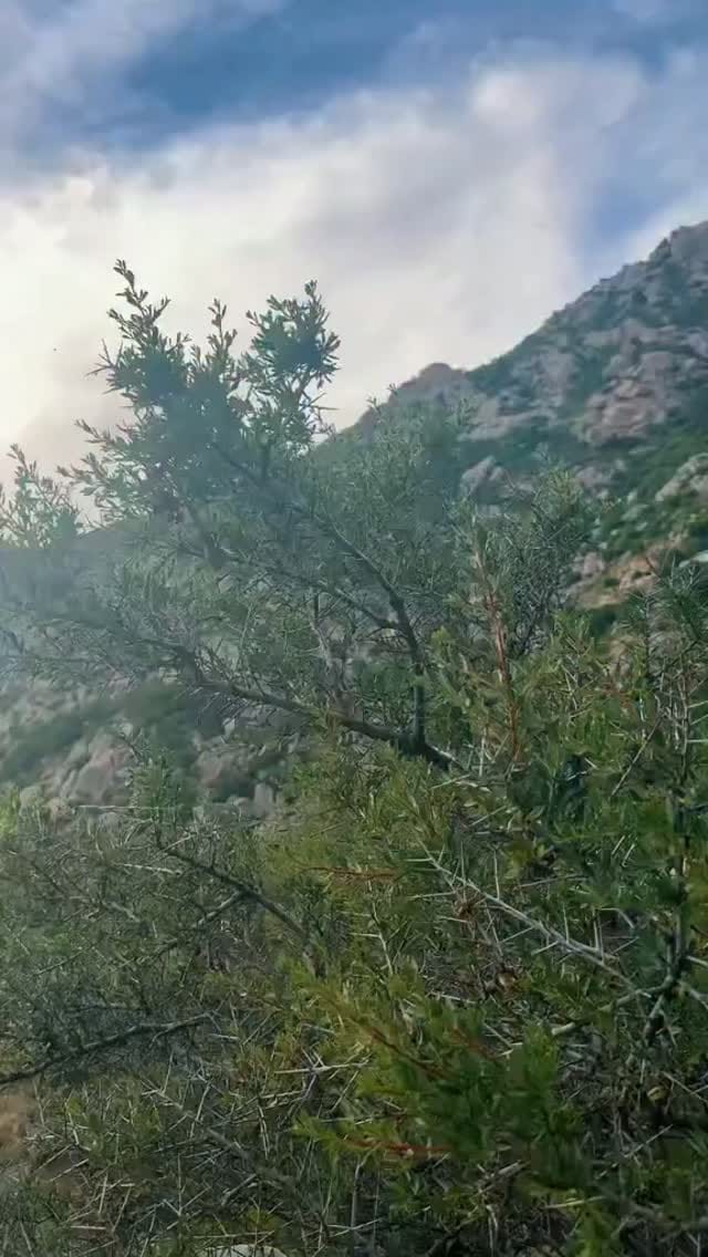 Post 4 by Kamola Alieva on Instagram (video)