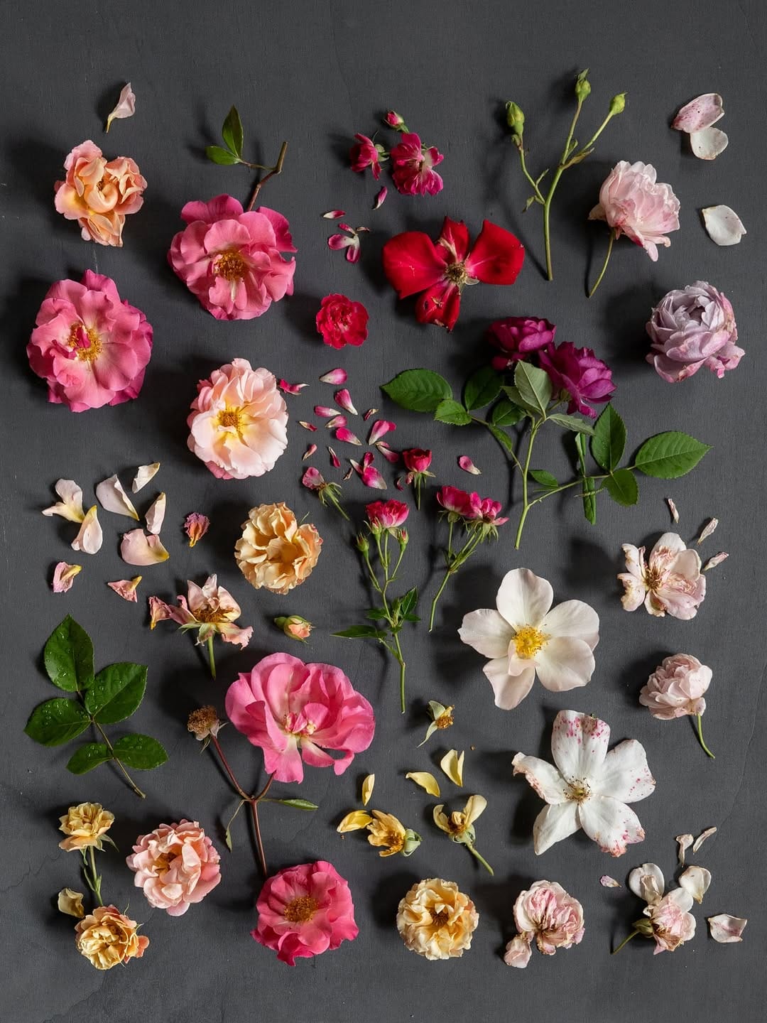 Post 6 by Anne • Floral Artist • Educator on Instagram (carousel)
