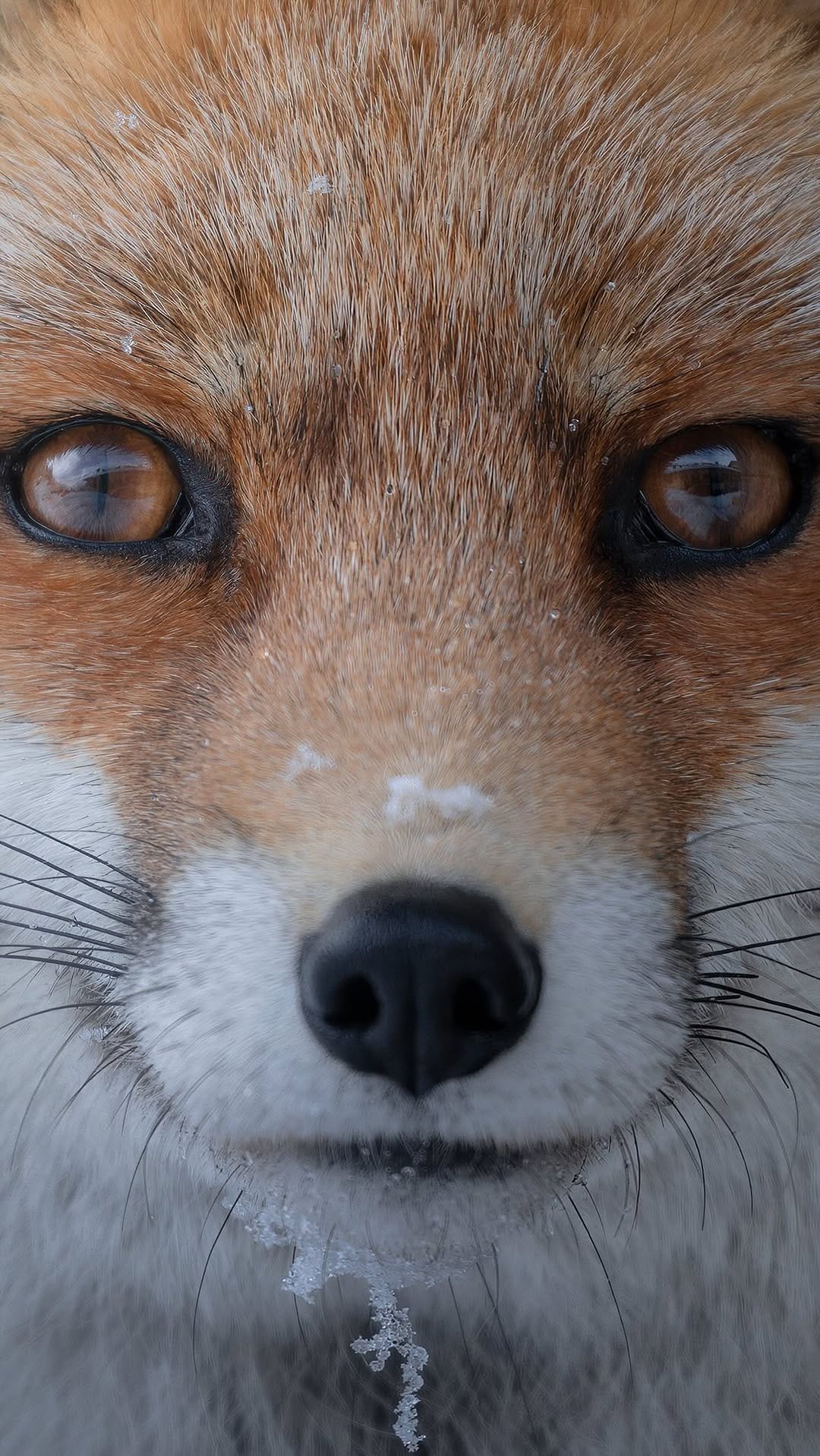 Post 10 by Alessandro Di Modica on Instagram (video)