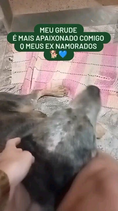 Post 3 by Luciene Machado on Instagram (video)