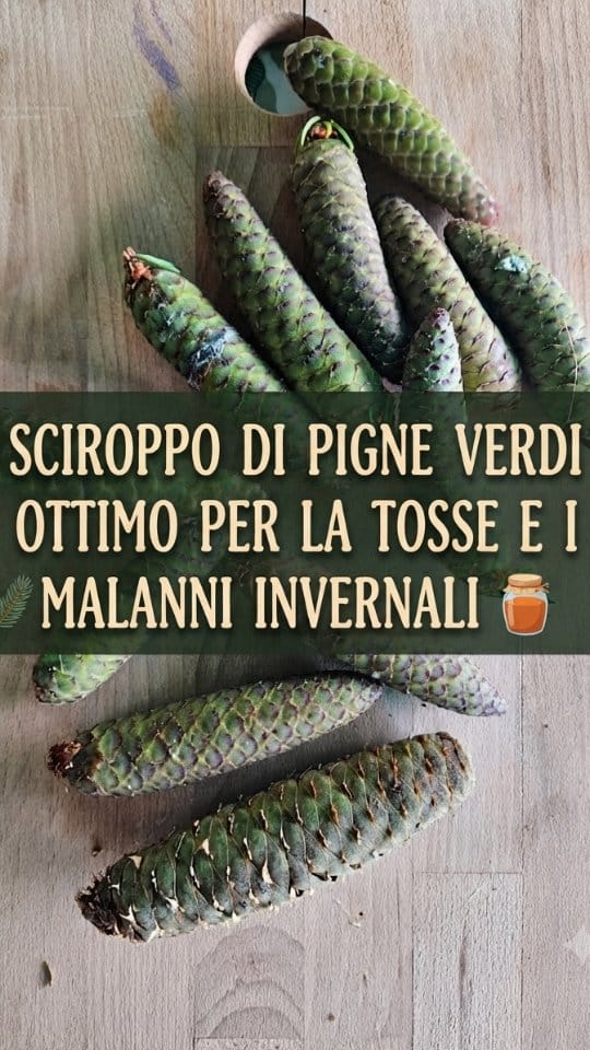 Post 7 by Associazione Capra&Cavoli ☎️ 3925767886 Cecilia Tanghetti on Instagram (video)