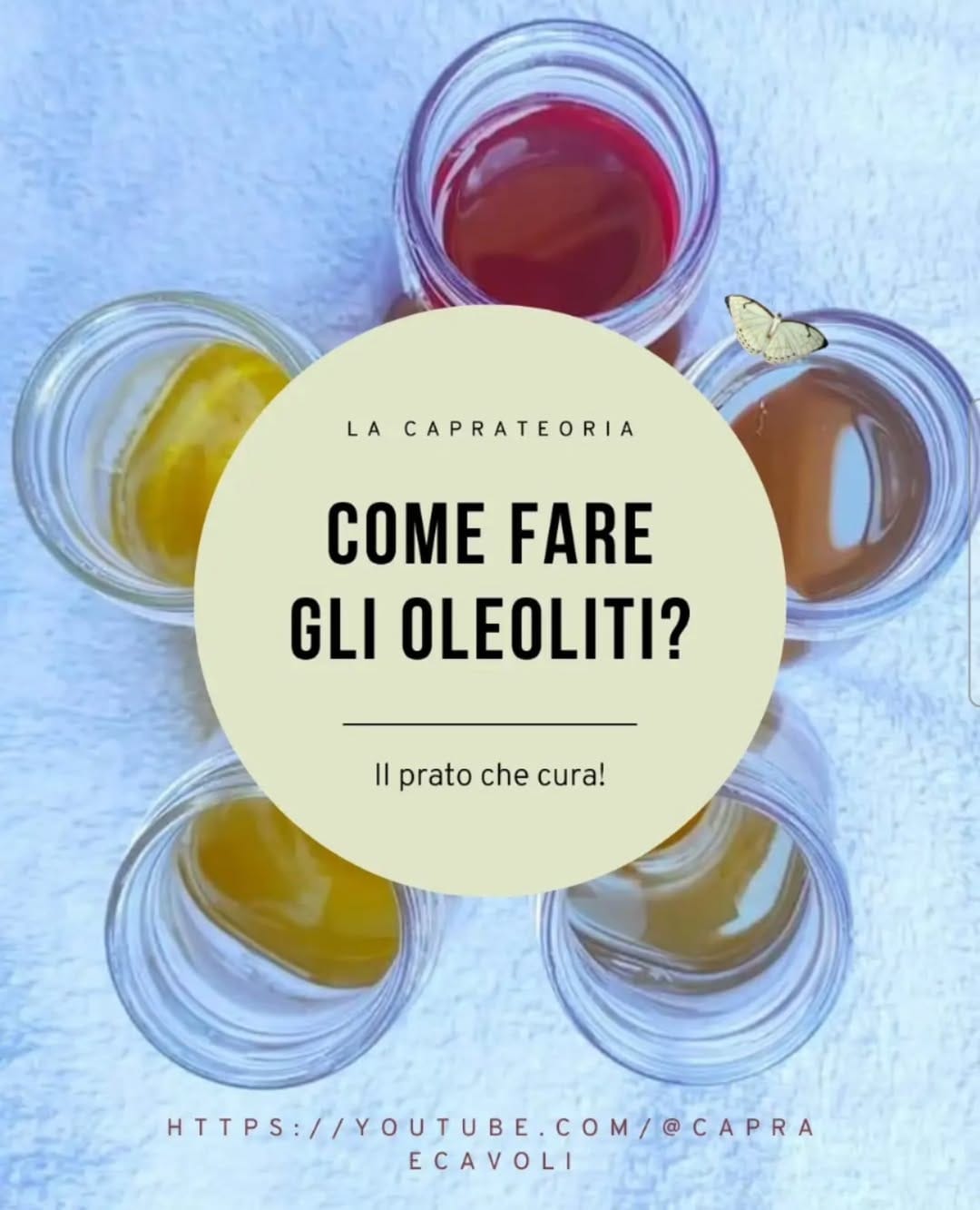 Post 9 by Associazione Capra&Cavoli ☎️ 3925767886 Cecilia Tanghetti on Instagram (image)
