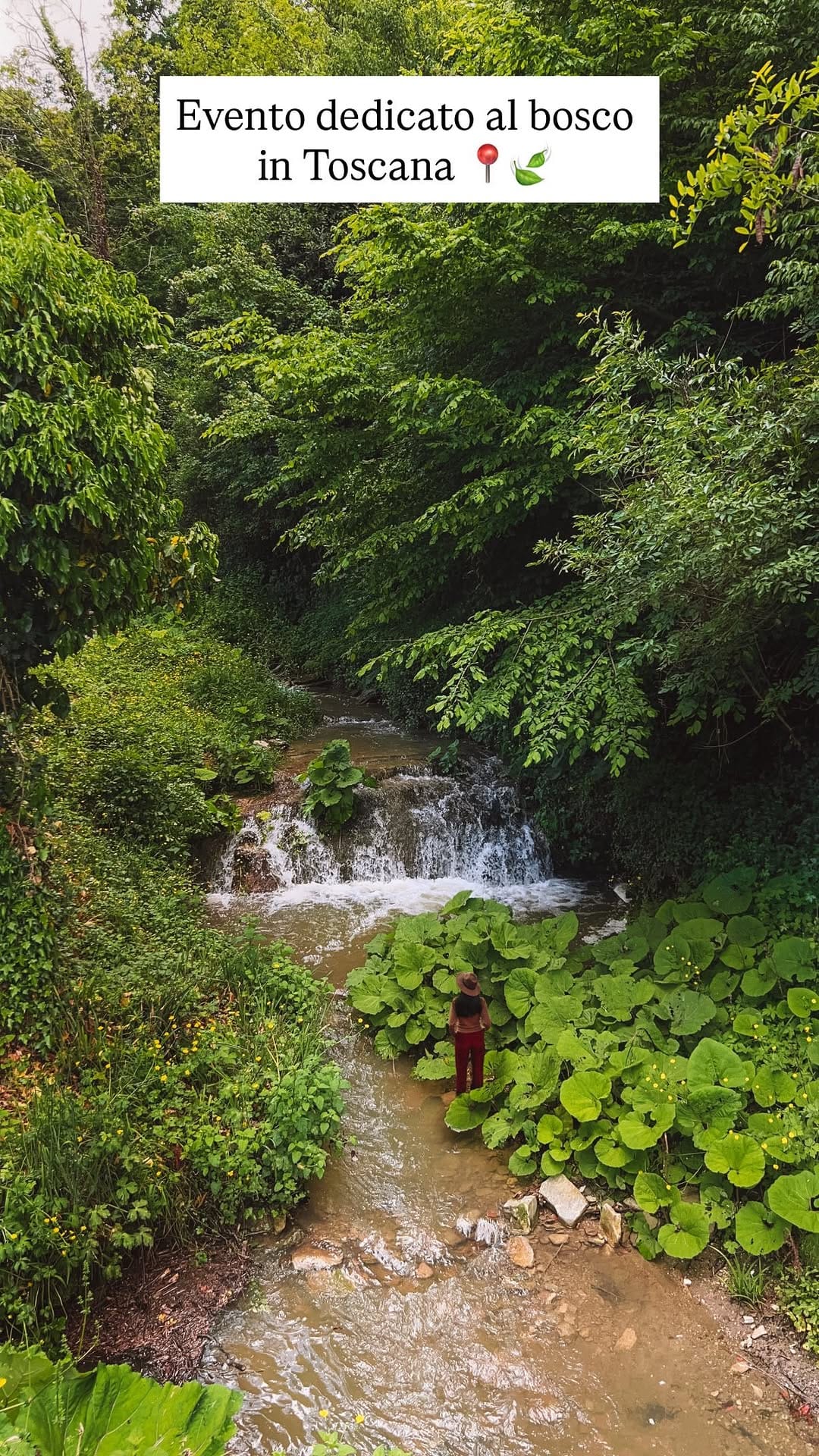 Post 6 by Gloria | Travel Creator | 📍Toscana on Instagram (video)