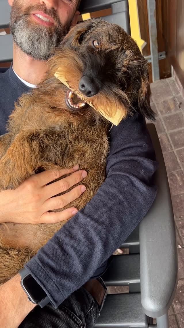 Post 3 by 𝑰𝒍 𝑩𝒆𝒓𝒏𝒊 | 𝑽𝒊𝒕𝒂 𝒅𝒂 𝒃𝒂𝒔𝒔𝒐𝒕𝒕𝒐 🧸🧡 on Instagram (video)