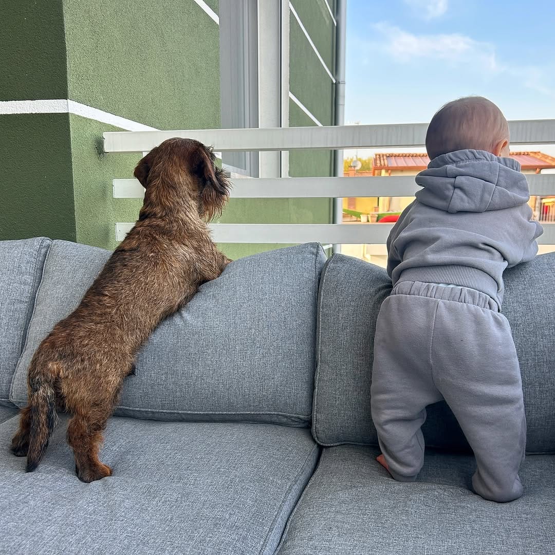Post 7 by 𝑰𝒍 𝑩𝒆𝒓𝒏𝒊 | 𝑽𝒊𝒕𝒂 𝒅𝒂 𝒃𝒂𝒔𝒔𝒐𝒕𝒕𝒐 🧸🧡 on Instagram (image)