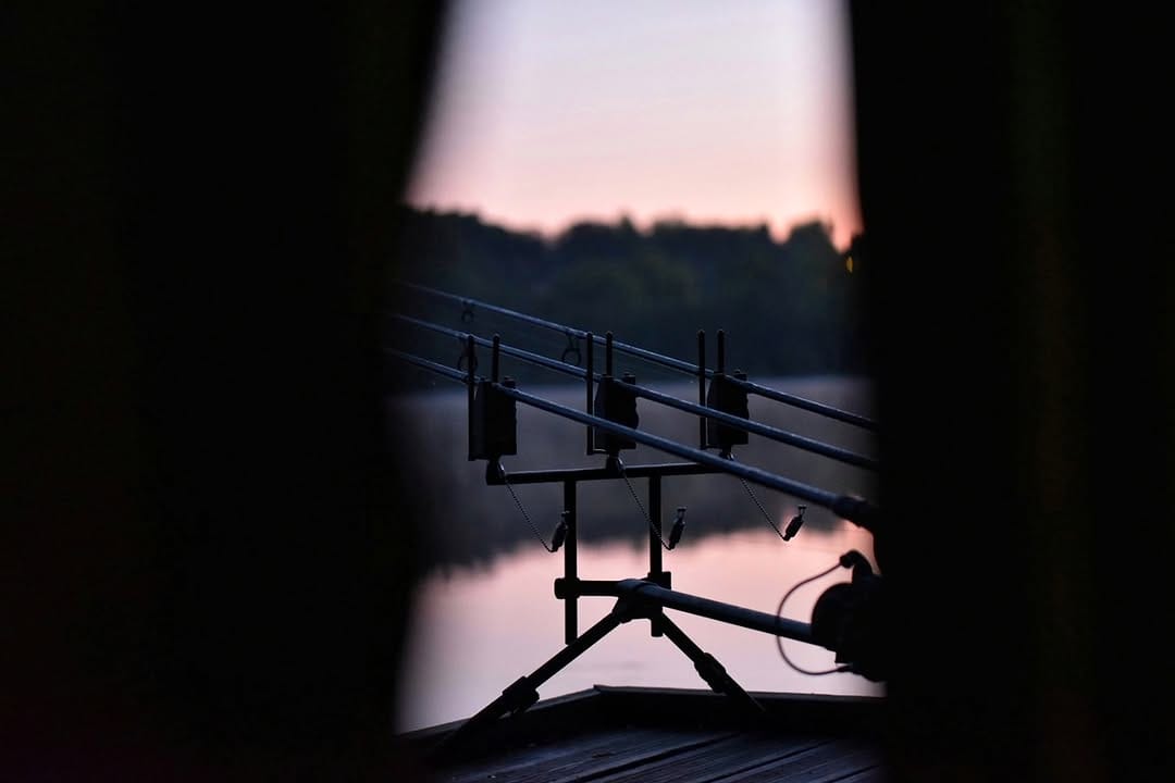Post 6 by MAD Carp on Instagram (image)