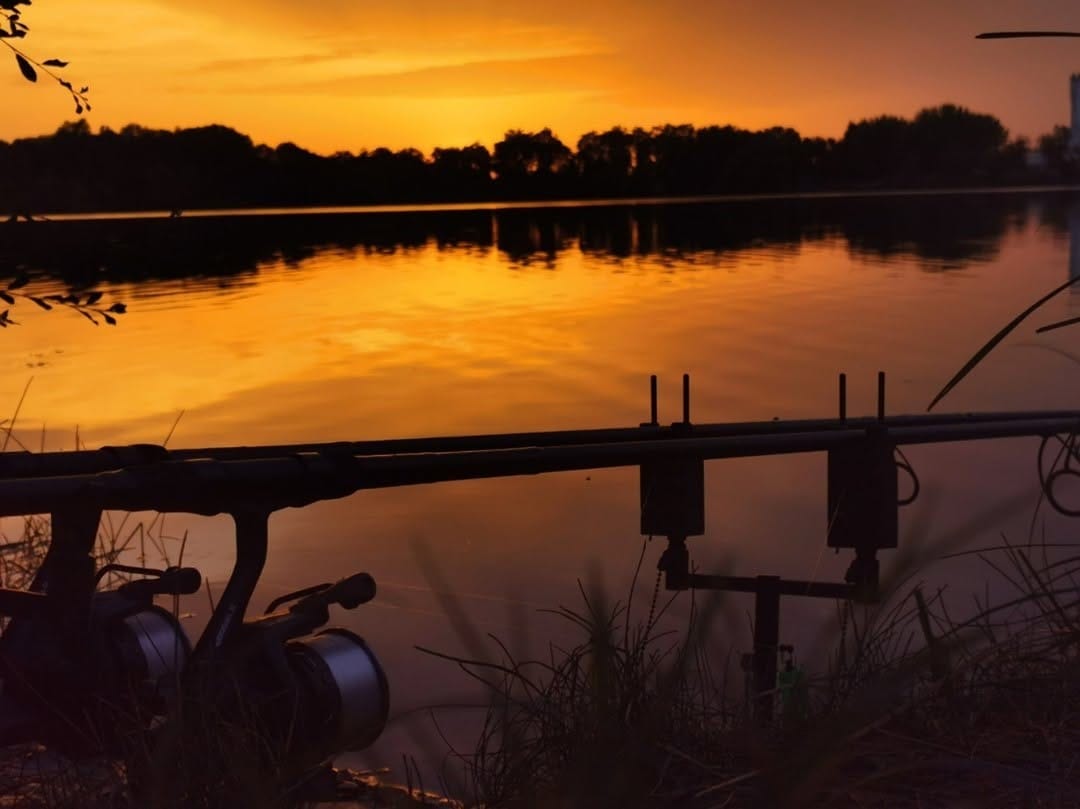 Post 9 by MAD Carp on Instagram (image)