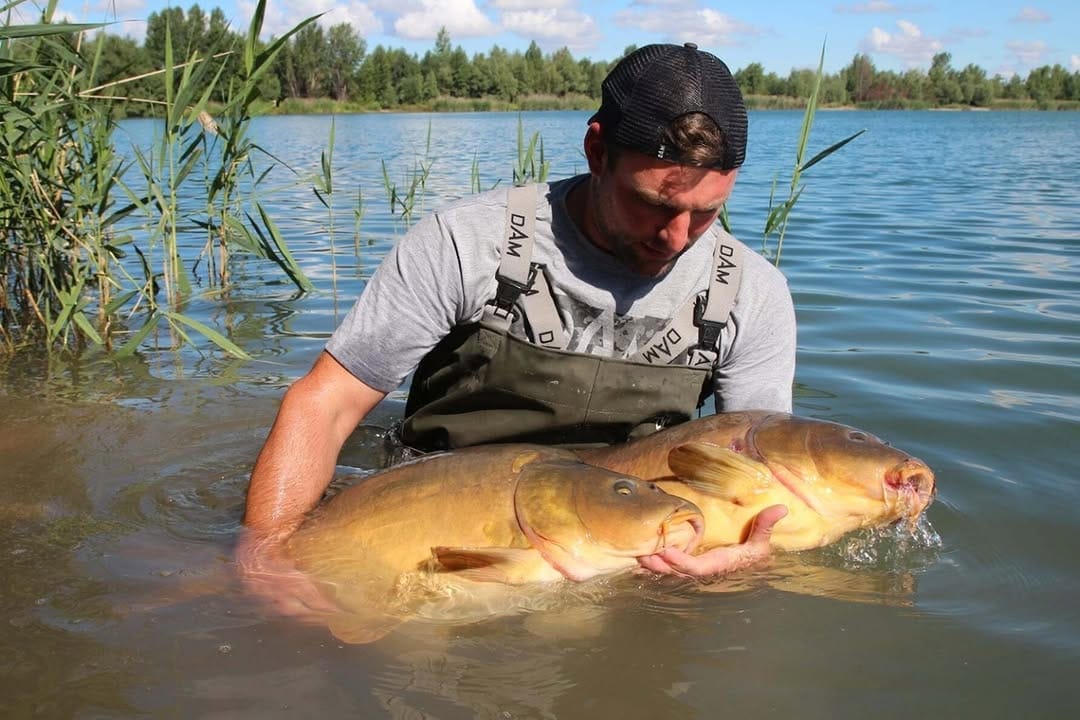 Post 1 by MAD Carp on Instagram (image)