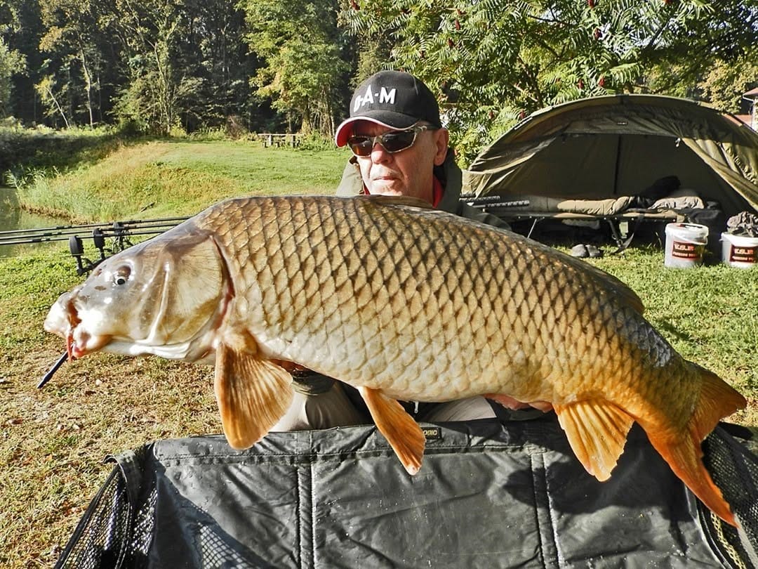 Post 3 by MAD Carp on Instagram (image)