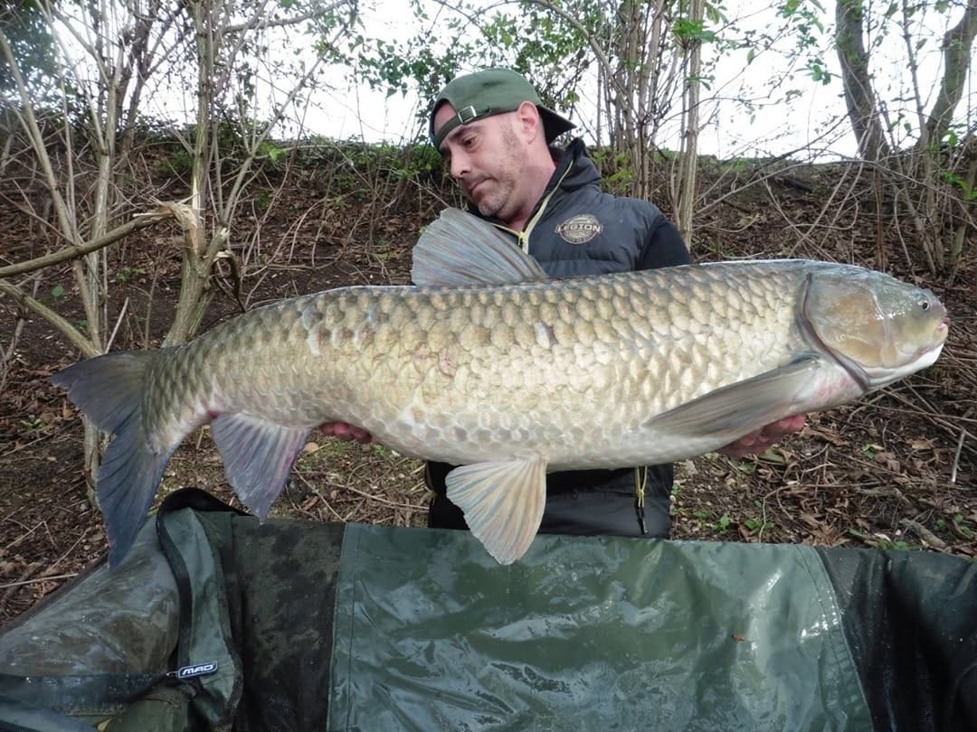 Post 4 by MAD Carp on Instagram (image)