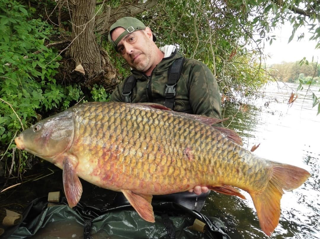 Post 10 by MAD Carp on Instagram (image)