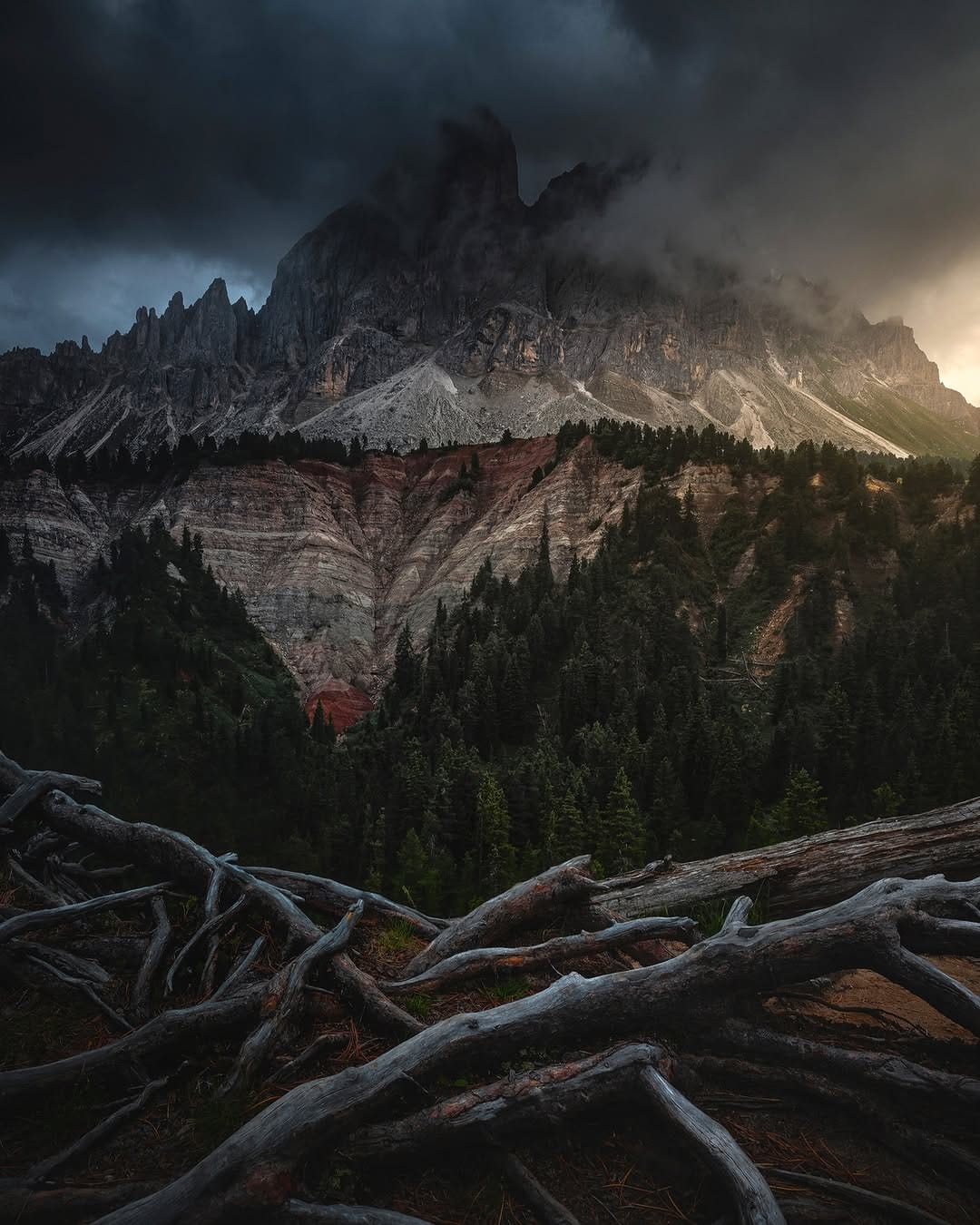 Post 2 by Nature Photography - Simon on Instagram (image)