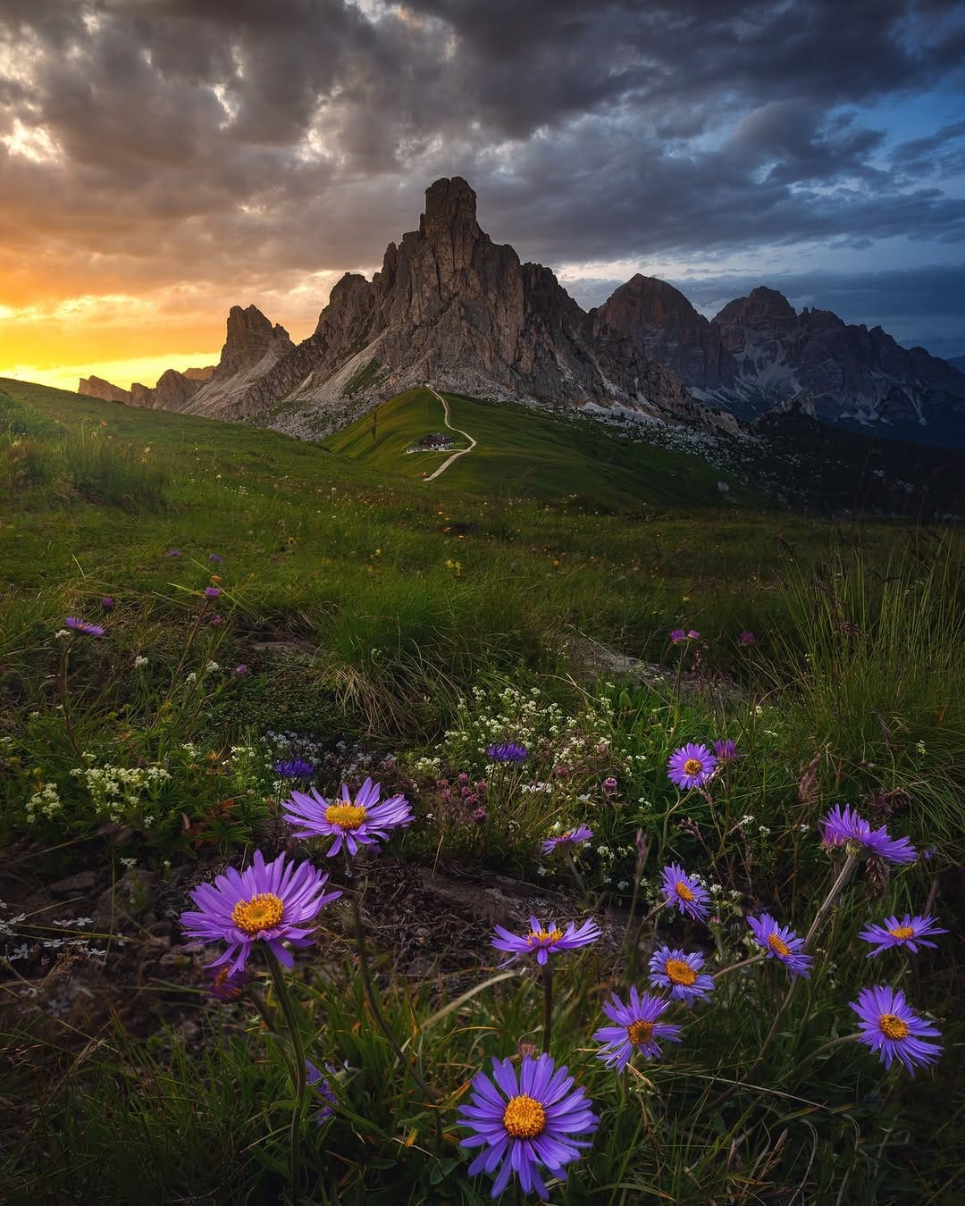 Post 3 by Nature Photography - Simon on Instagram (image)