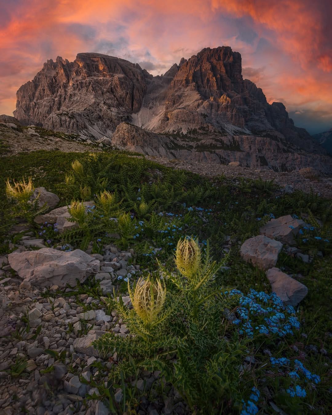 Post 10 by Nature Photography - Simon on Instagram (image)