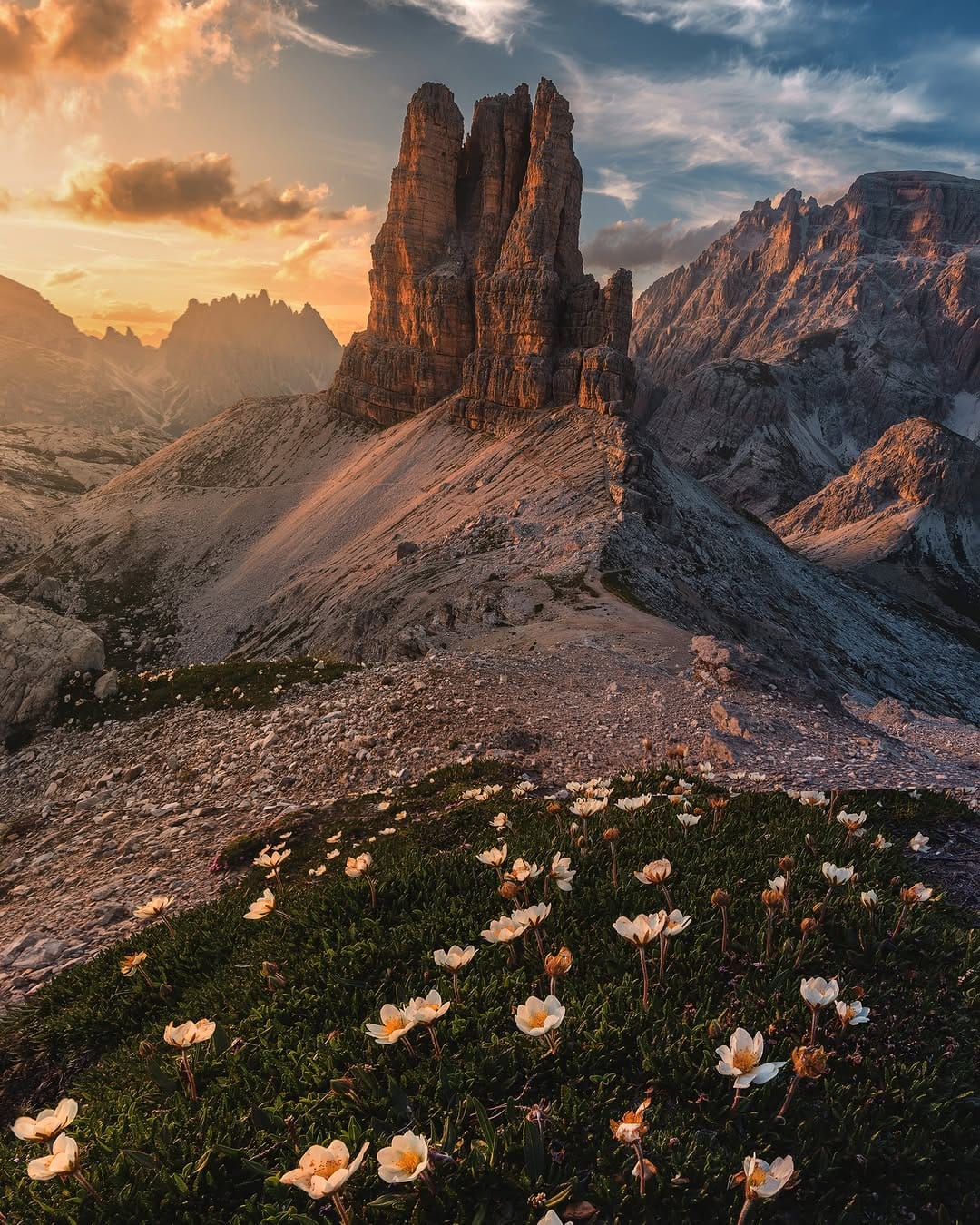 Post 7 by Nature Photography - Simon on Instagram (image)