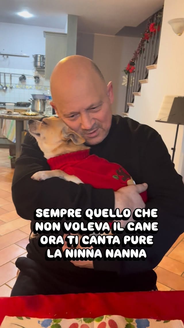 Post 10 by Sid il cagnaccio - un po’ dolce un po’ buffo on Instagram (video)