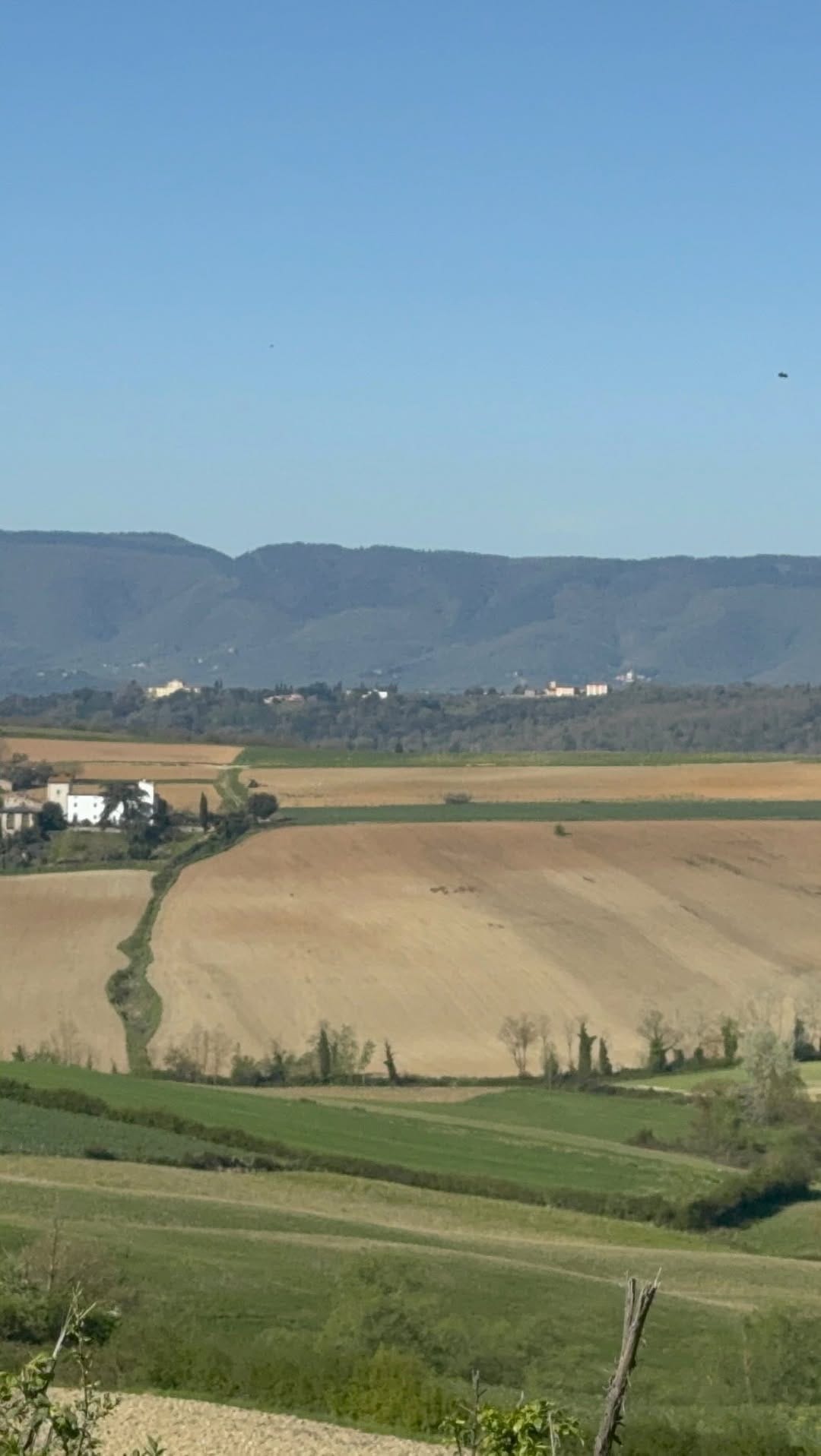 Post 10 by Mattia Posta on Instagram (video)