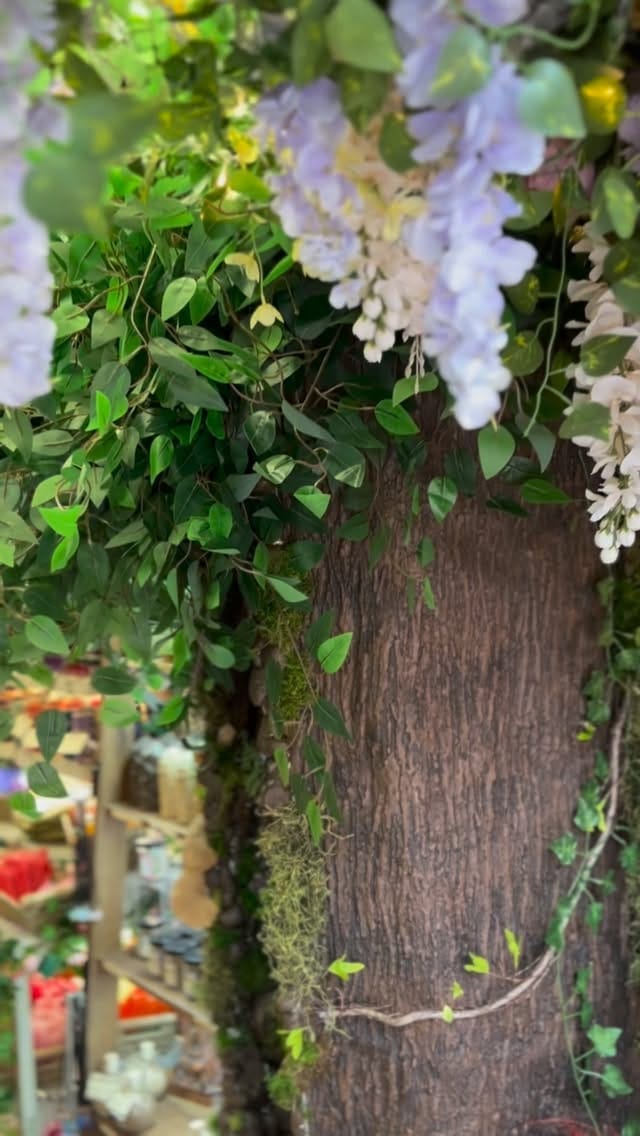Post 10 by The Coven's Cottage on Instagram (video)