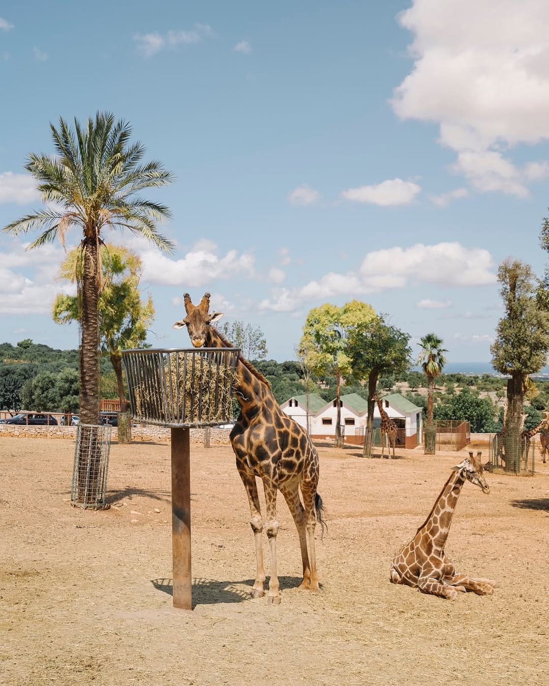 Post 6 by Alessandro Carai || Travel on Instagram (carousel)