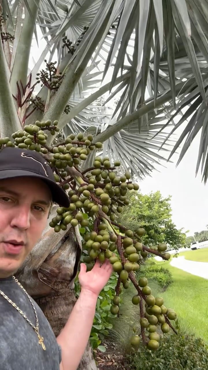 Post 4 by El Záceta🇨🇺 on Instagram (video)