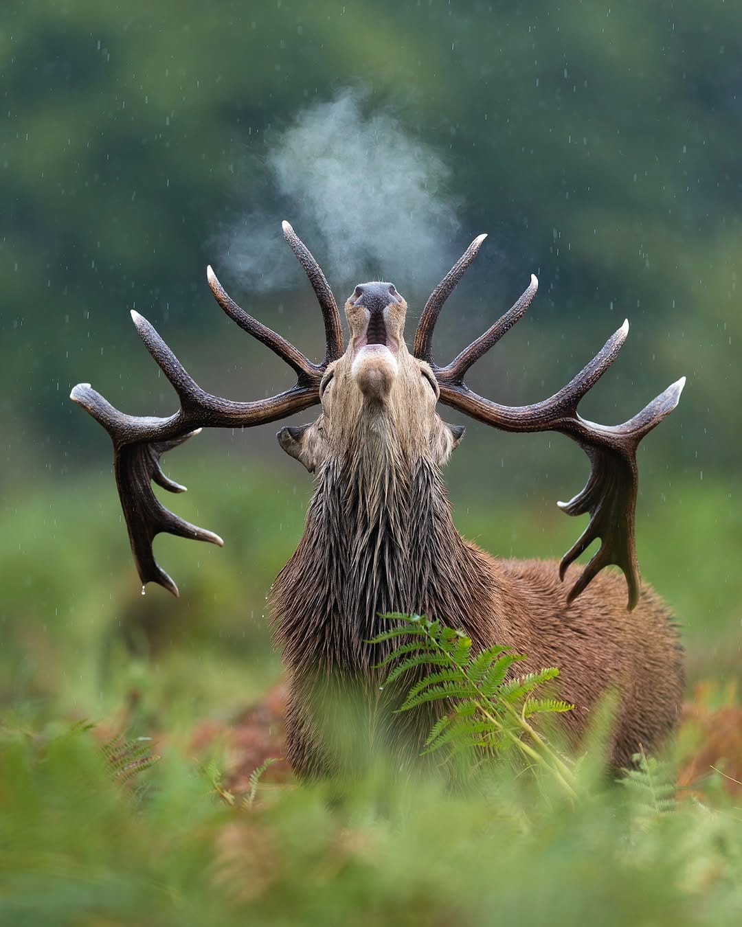 Post 9 by Jack 🦌 on Instagram (image)