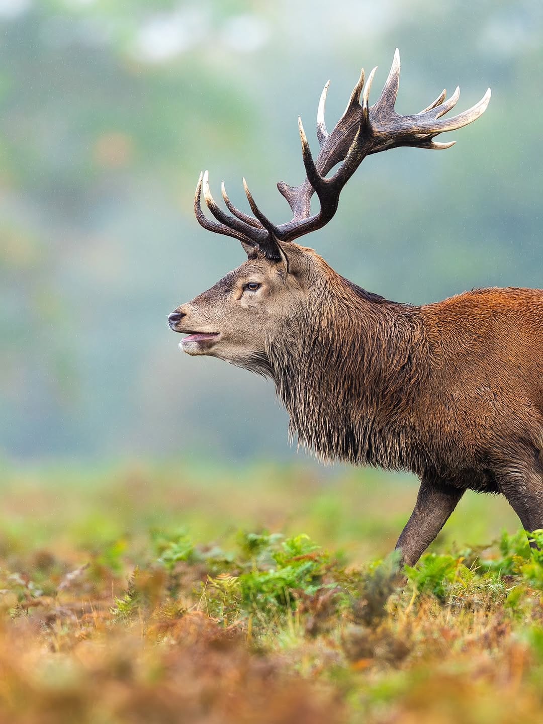 Post 3 by Jack 🦌 on Instagram (carousel)