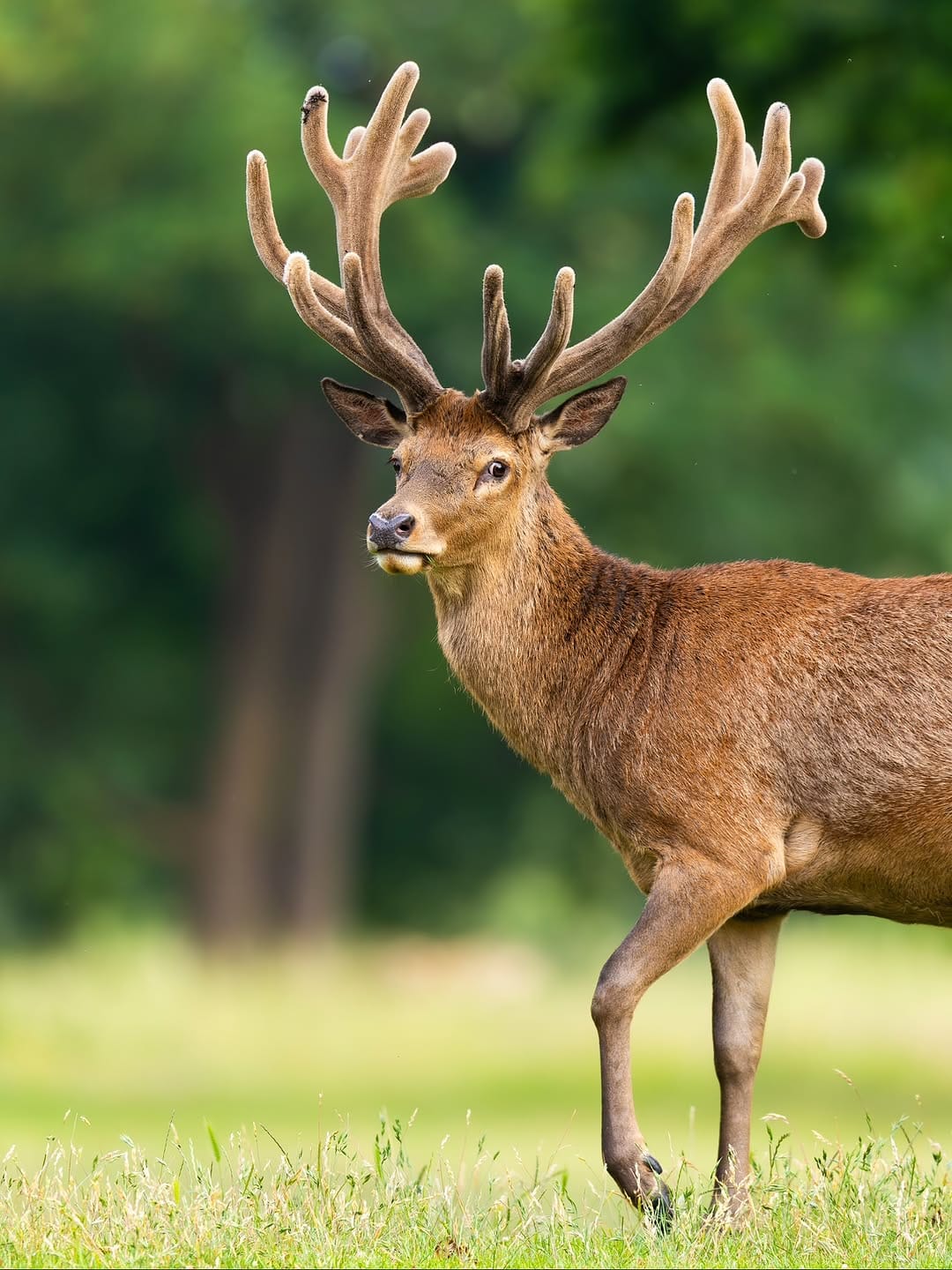 Post 2 by Jack 🦌 on Instagram (carousel)