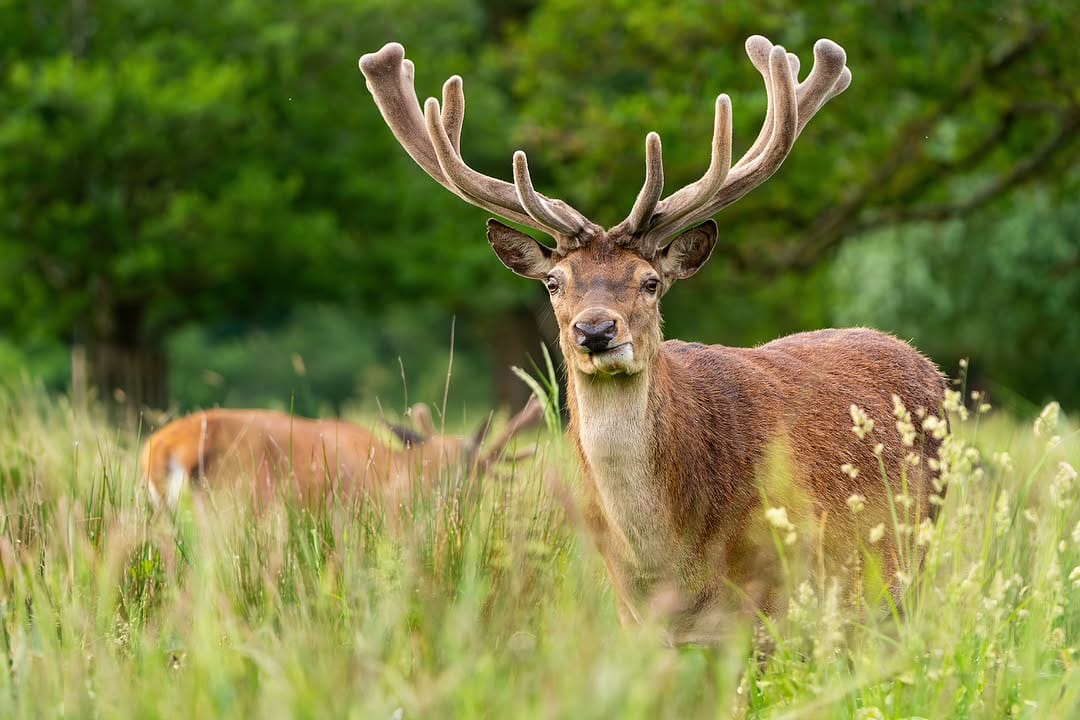 Post 8 by Jack 🦌 on Instagram (image)