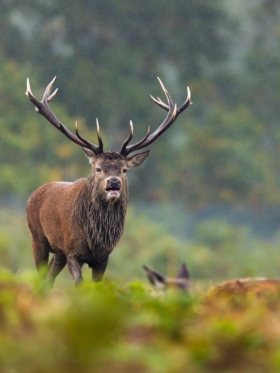 Post 5 by Jack 🦌 on Instagram (carousel)