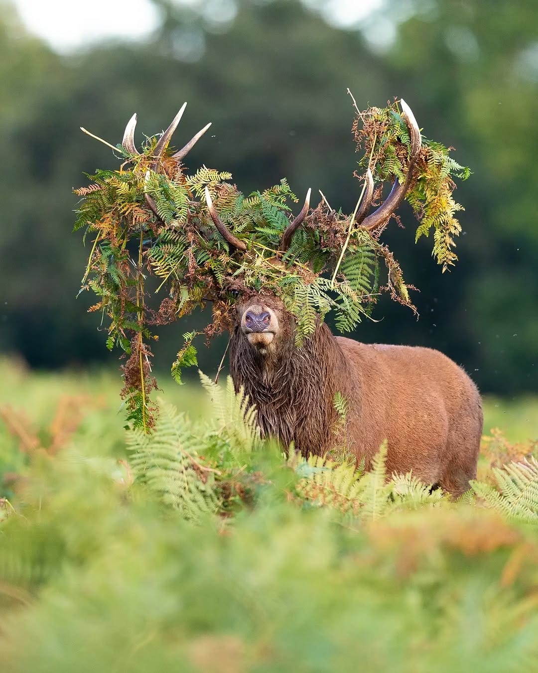 Post 10 by Jack 🦌 on Instagram (carousel)