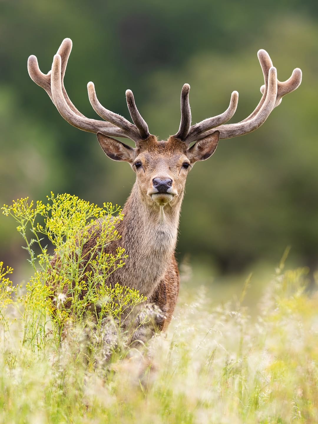 Post 7 by Jack 🦌 on Instagram (carousel)