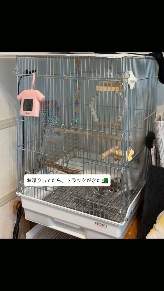 Post 4 by れもんとおもち on Instagram (video)