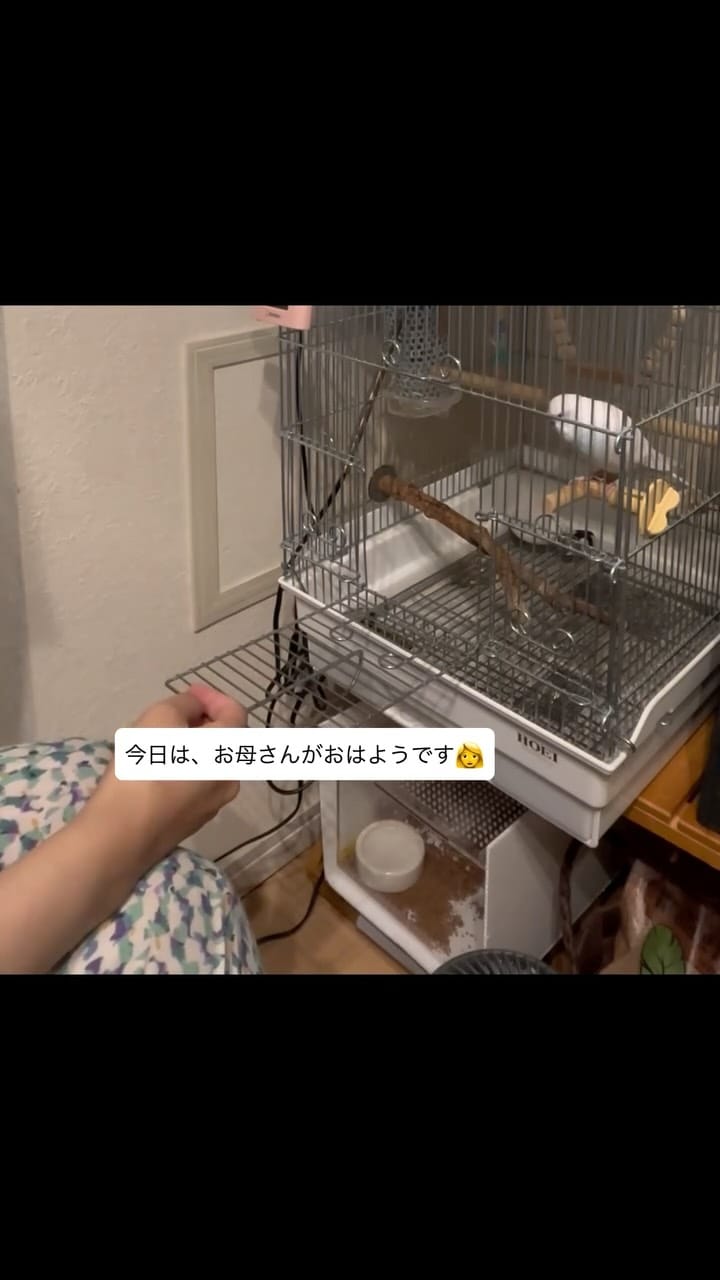 Post 6 by れもんとおもち on Instagram (video)