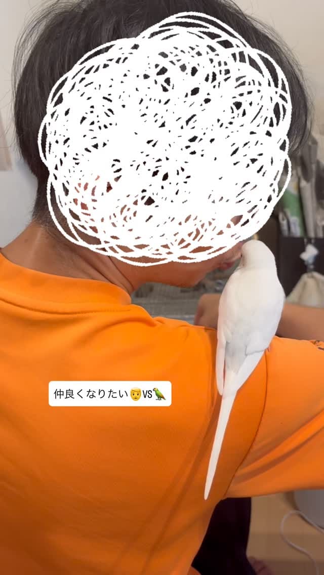Post 5 by れもんとおもち on Instagram (video)