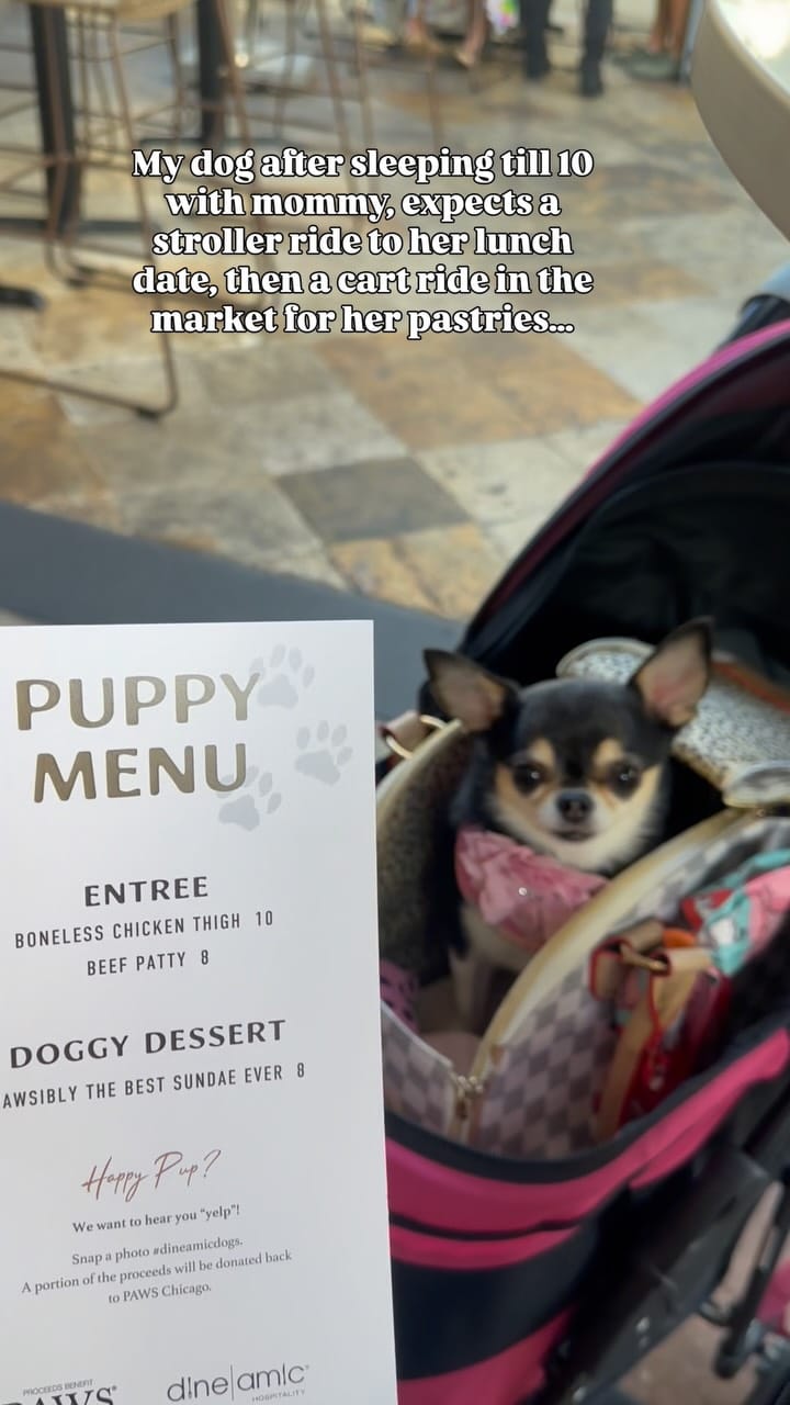 Post 2 by Bougie🌸Belle on Instagram (video)