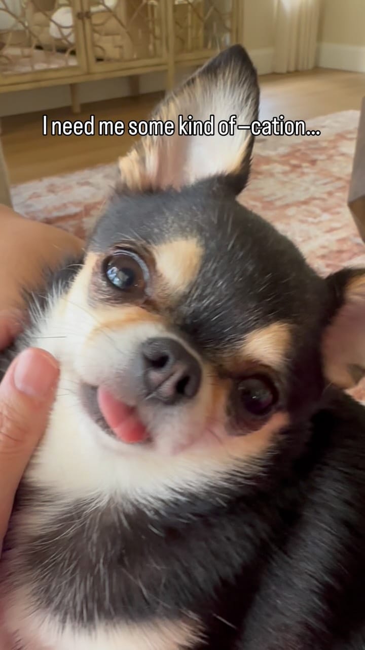 Post 3 by Bougie🌸Belle on Instagram (video)