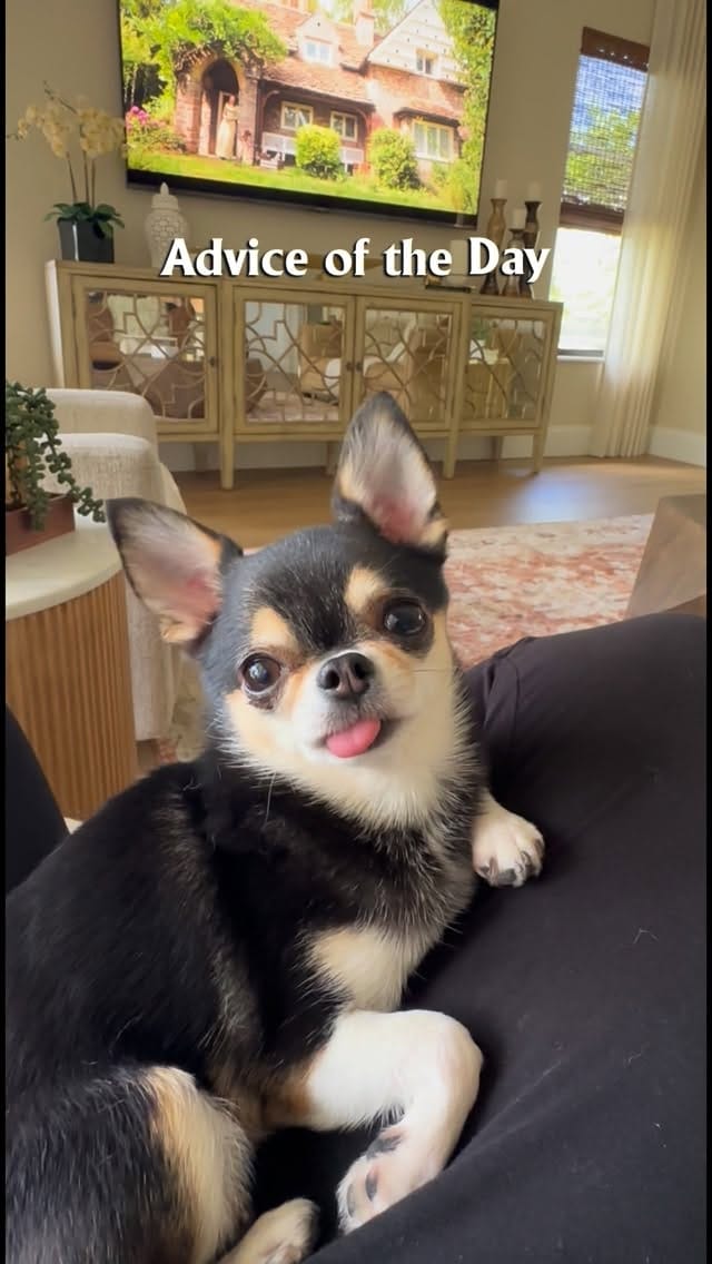 Post 6 by Bougie🌸Belle on Instagram (video)