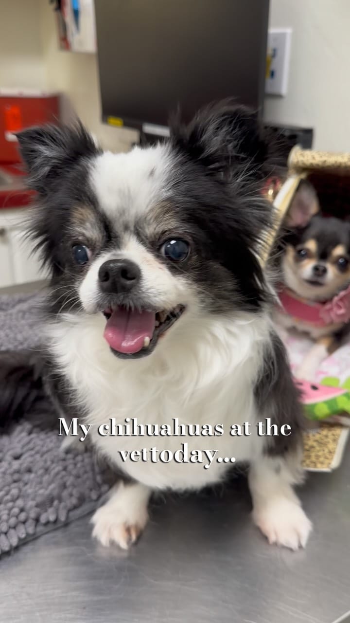 Post 5 by Bougie🌸Belle on Instagram (video)