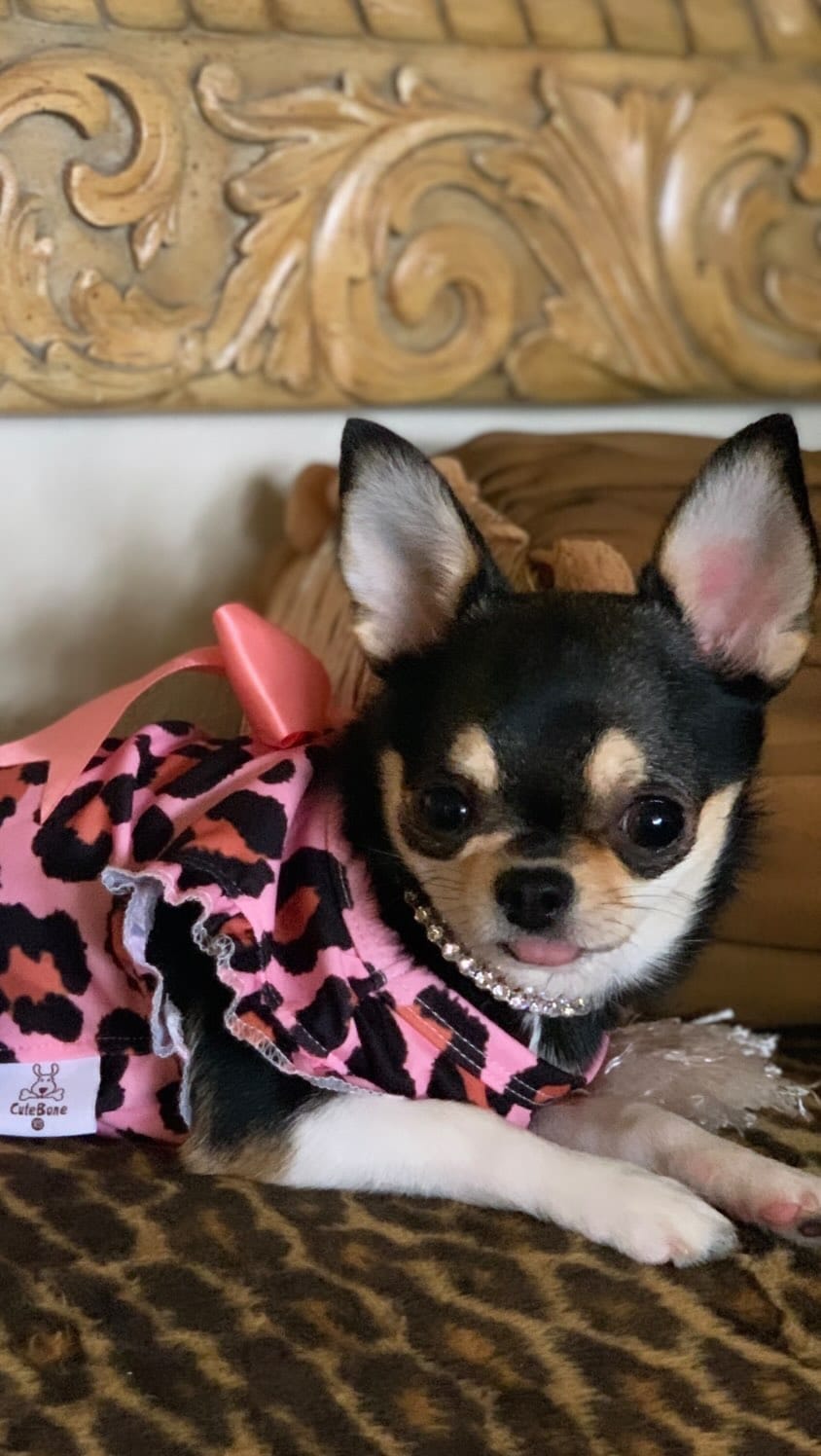 Post 9 by Bougie🌸Belle on Instagram (video)