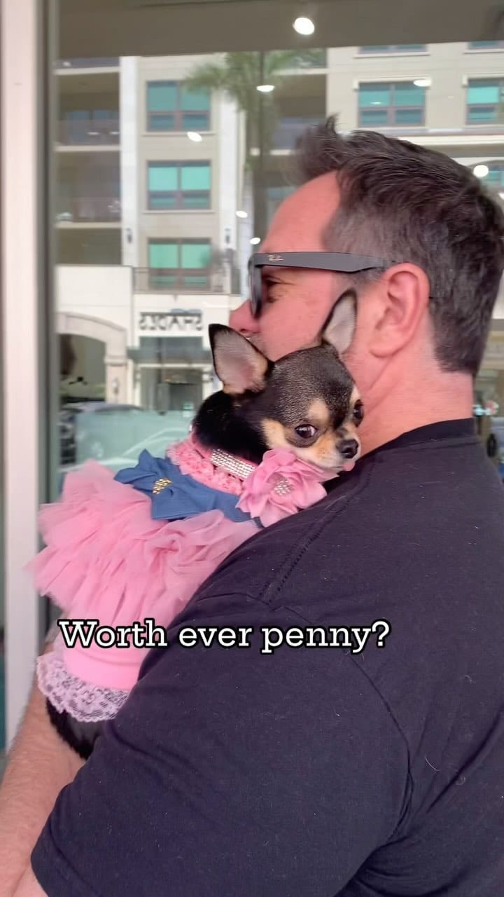 Post 10 by Bougie🌸Belle on Instagram (video)